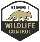 Summit Wildlife Control