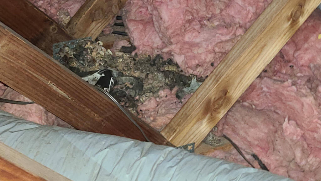 Risks of Attic Cleanup Cleanup